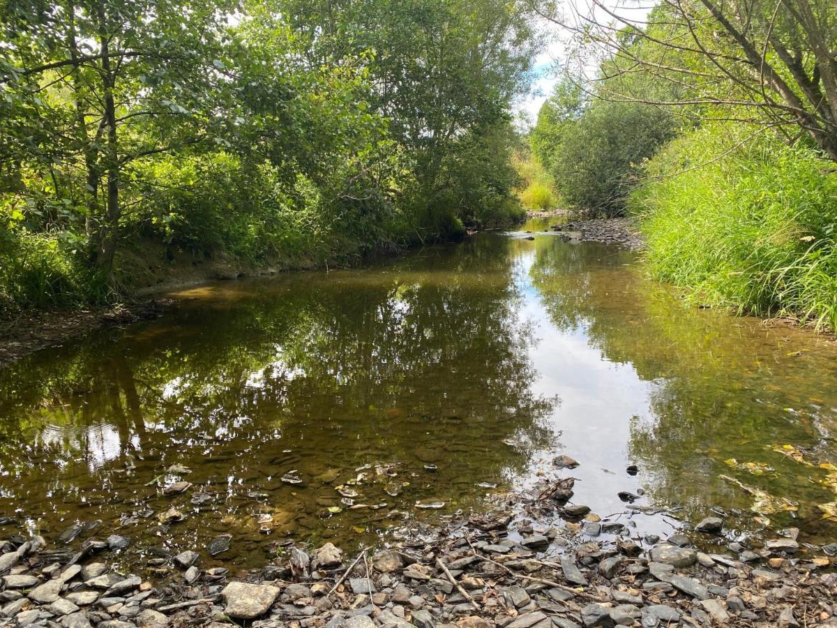 Le Heron - Gite De Charme Cloture, Acces A La Riviere - 6 Ou 10 Personnes Fauvillers Bagian luar foto
