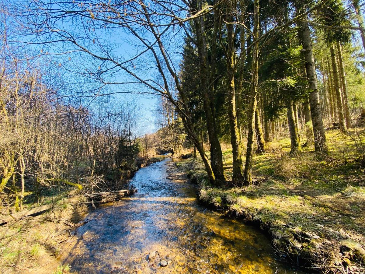 Le Heron - Gite De Charme Cloture, Acces A La Riviere - 6 Ou 10 Personnes Fauvillers Bagian luar foto